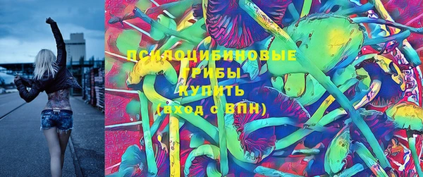МДПВ Алексин